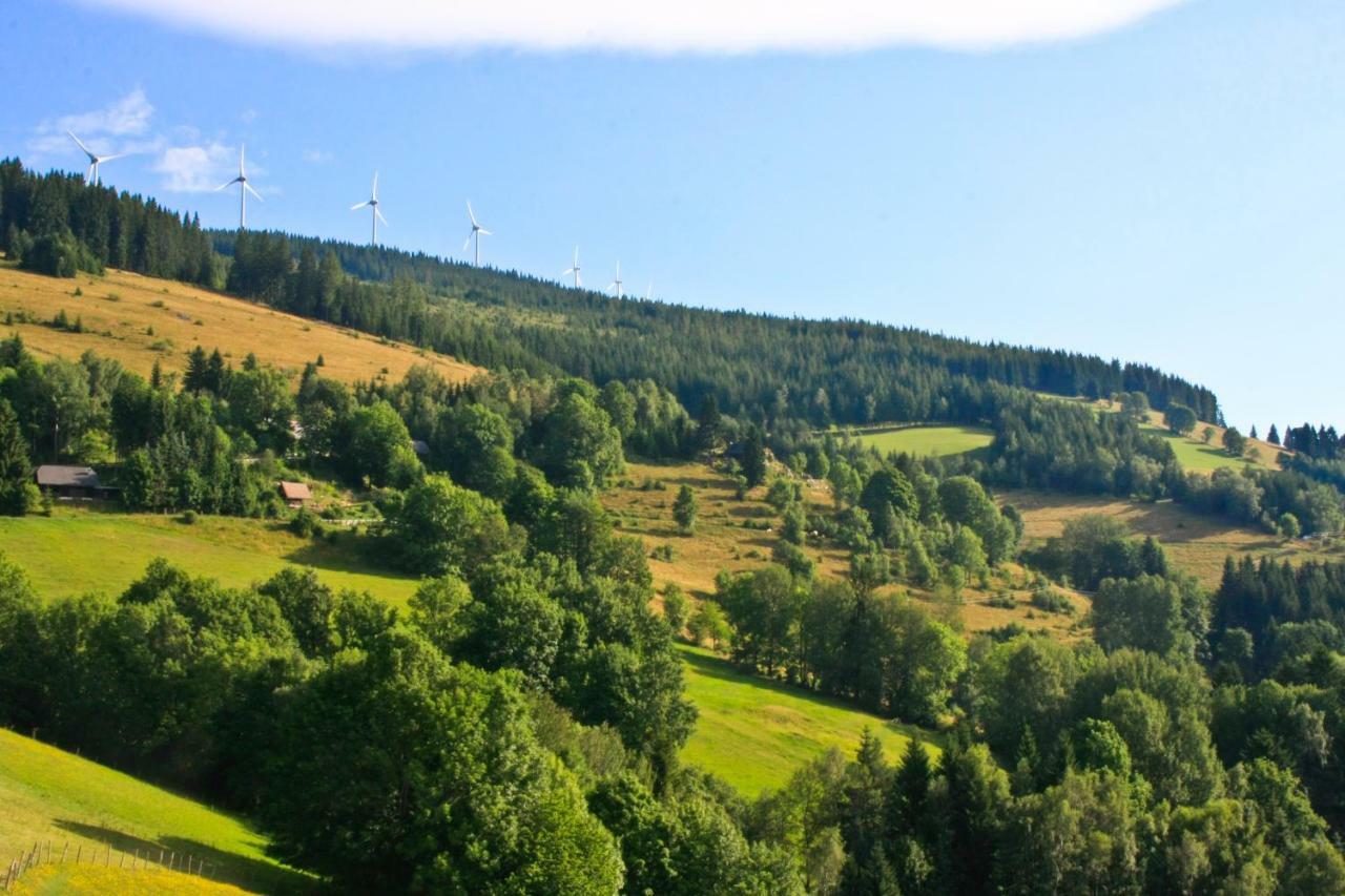 Genussgasthof Willenshofer Sankt Kathrein am Hauenstein Exterior foto